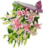 Bunch of Lilies
