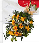 Daisy Bunch