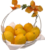 10kg Mango Basket